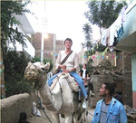 Camel Adventure